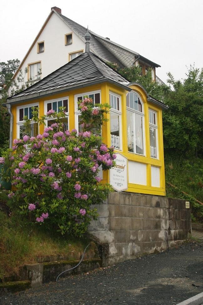 Pension Fuerstenhof Bad Elster Exterior photo